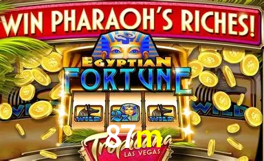 Responsive Design 87m